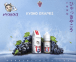 日系進口小煙油HYAKKI哈亞齊30ML - 可樂:圖片 5